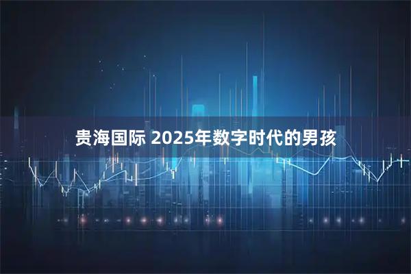 贵海国际 2025年数字时代的男孩
