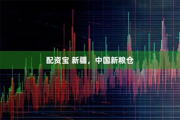 配资宝 新疆，中国新粮仓